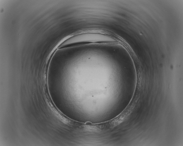 X0000085320852200703161504