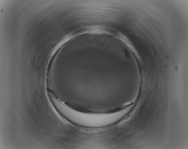 X0000085320853200703161504