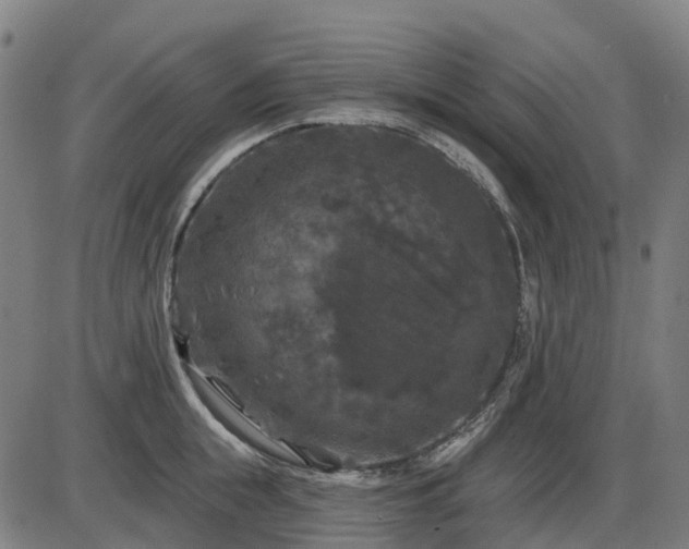 X0000085320855200703161504