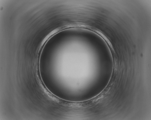 X0000085320861200703161504