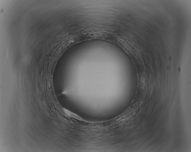 X0000085320865200703161503