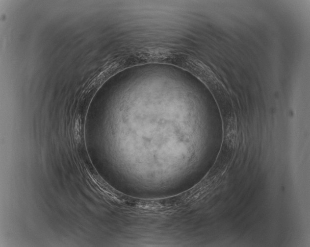 X0000085320866200703161503