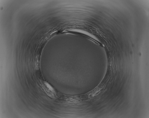 X0000085320868200703161503