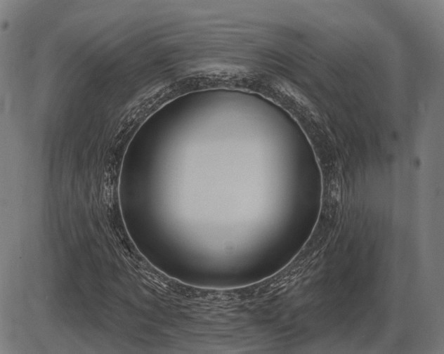 X0000085320869200703161503