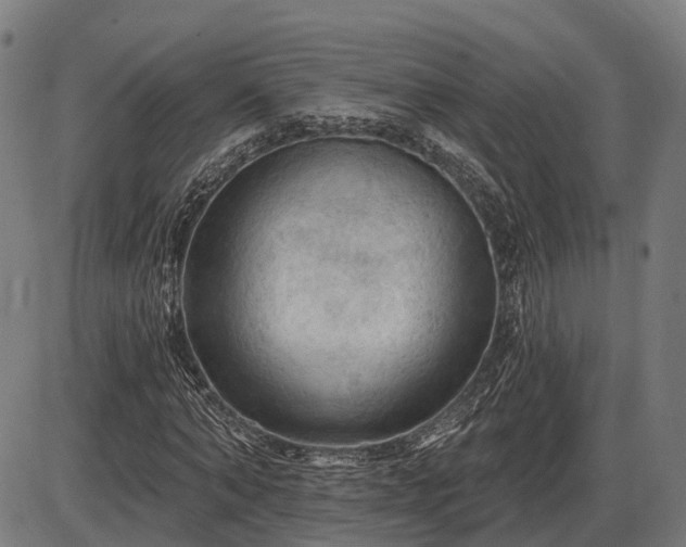 X0000085320870200703161503