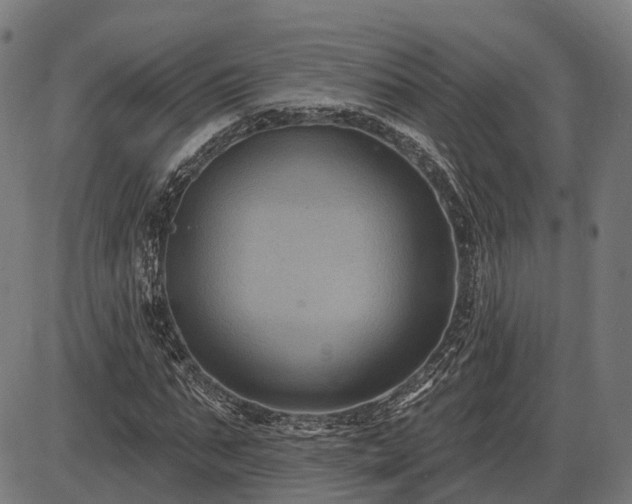 X0000085320871200703161503