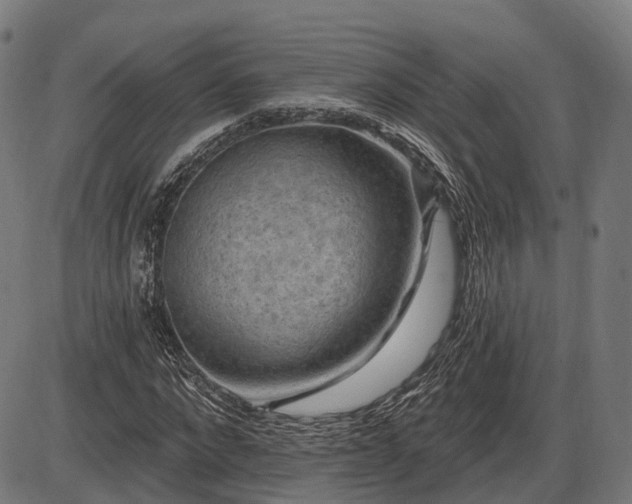 X0000085320872200703161503