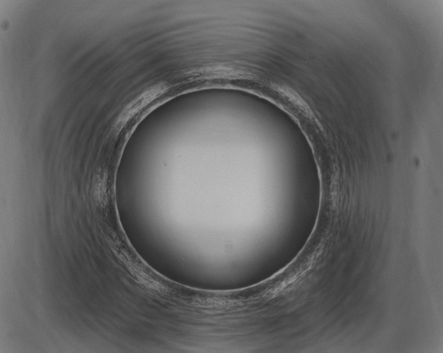 X0000085320873200703161503