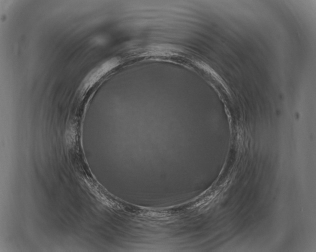 X0000085320874200703161503