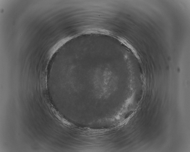 X0000085320877200703161503