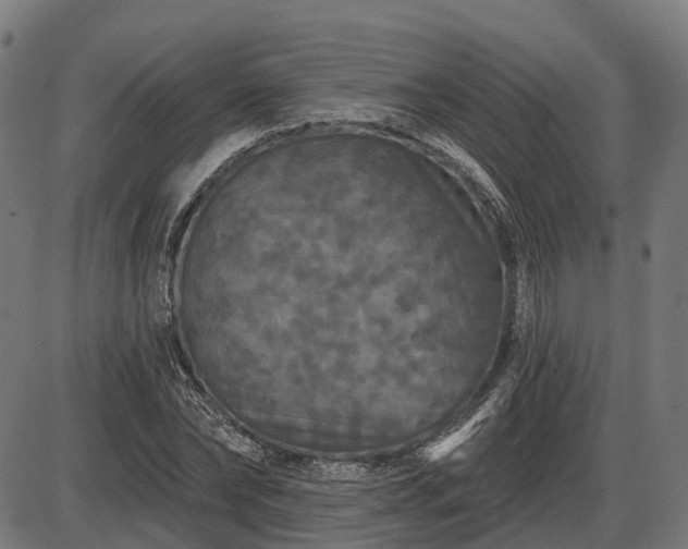 X0000085320878200703161503