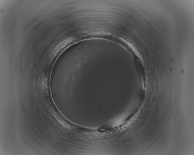 X0000085320881200703161503