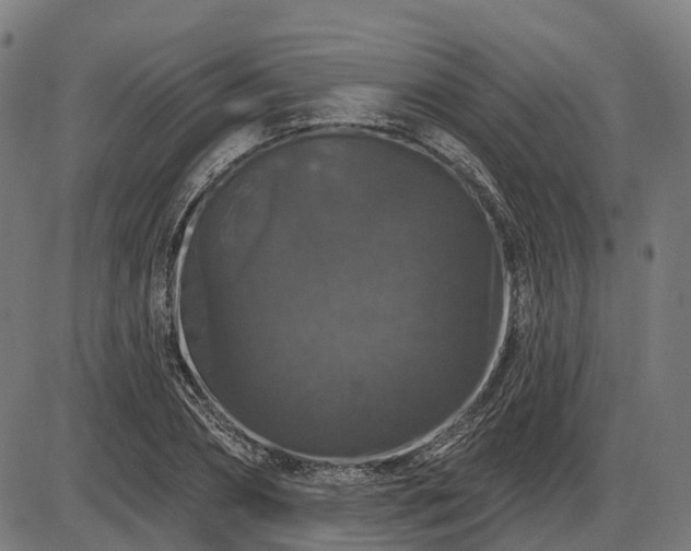 X0000085320882200703161503