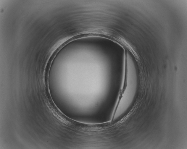 X0000085320884200703161503