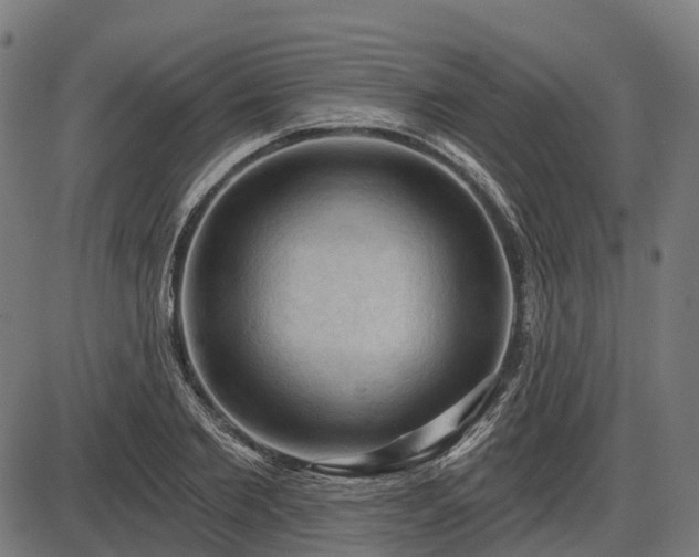 X0000085320885200703161503