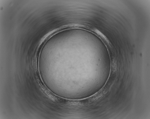 X0000085320886200703161503