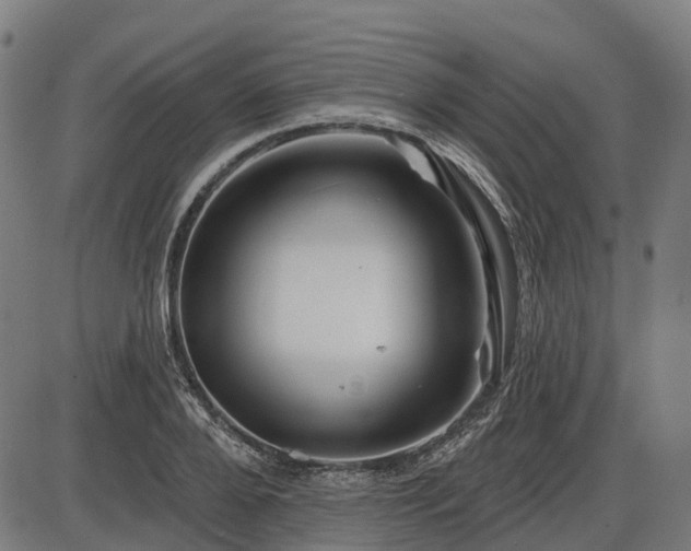 X0000085320888200703161503