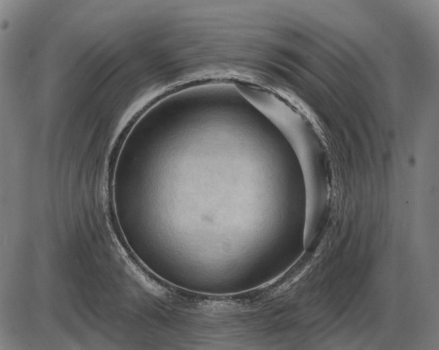 X0000085320894200703161503