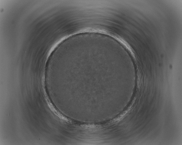X0000085320896200703161503