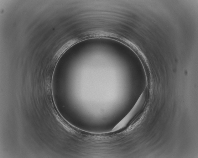 X0000085320897200703161503