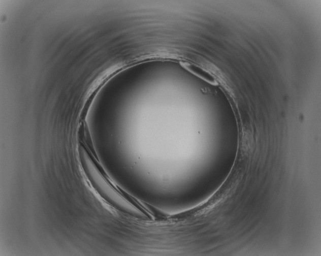 X0000085320898200703161503