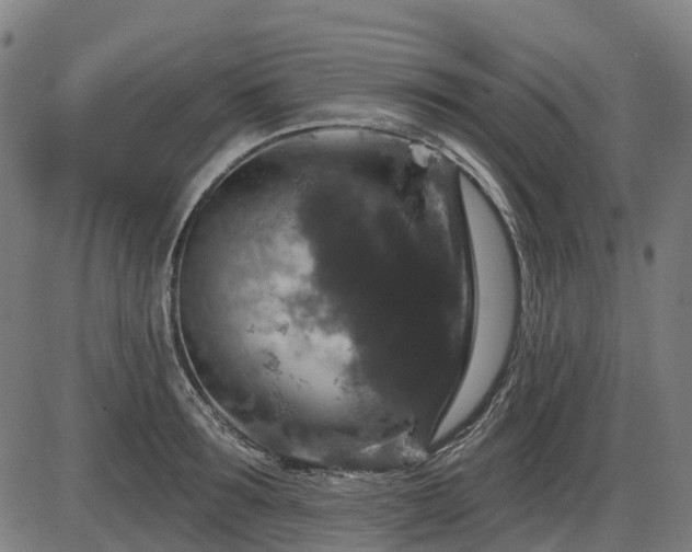 X0000085320899200703161502