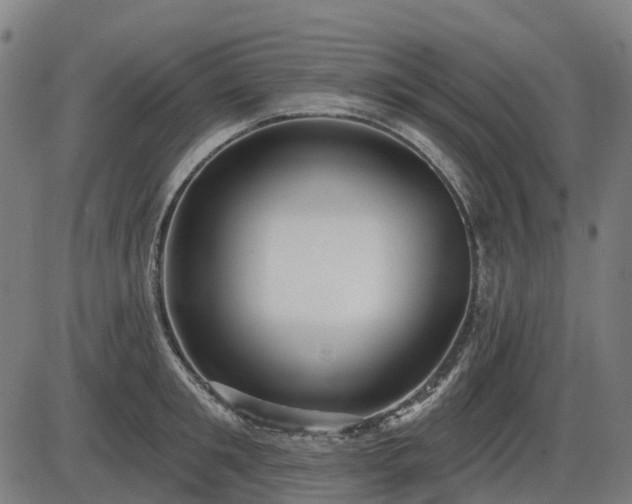 X0000085320901200703161502