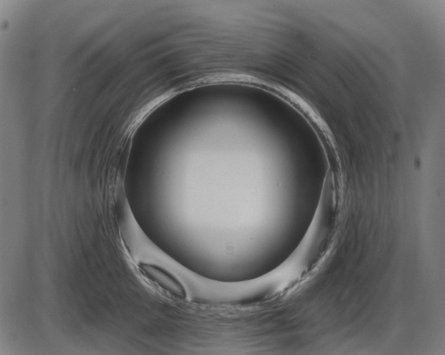 X0000085320905200703161502