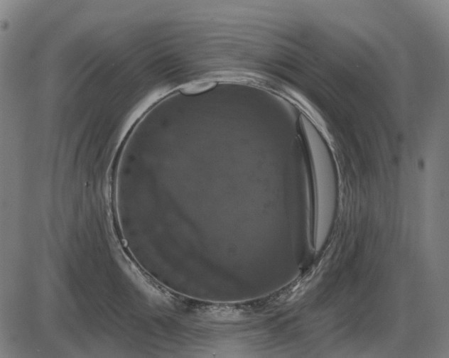 X0000085320907200703161502