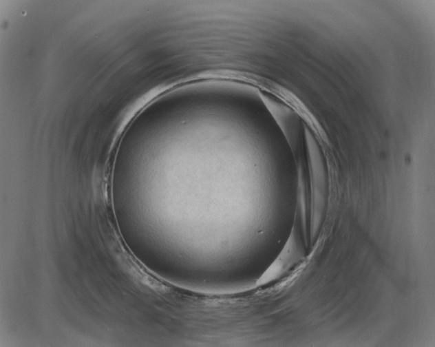 X0000085320908200703161502