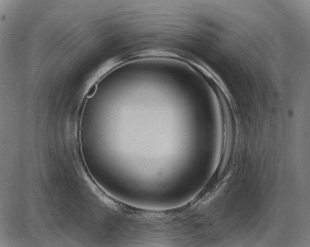 X0000085320909200703161502