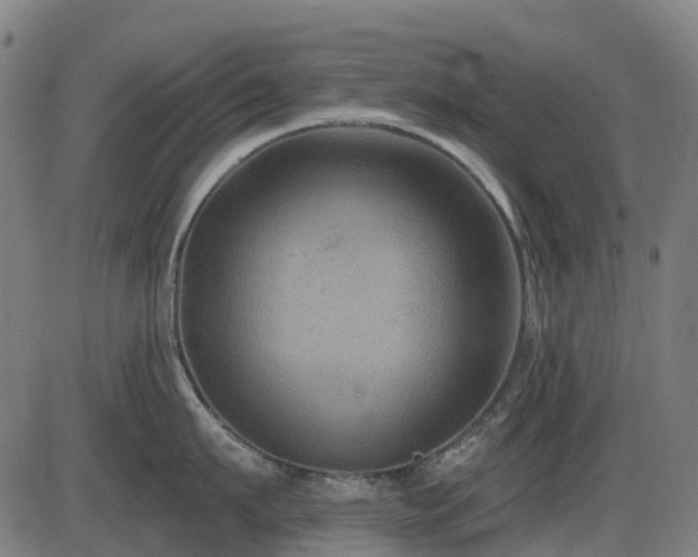 X0000085320911200703161502