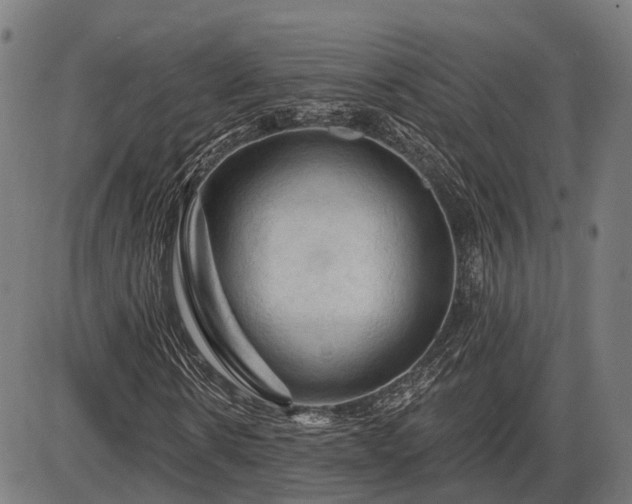 X0000085320914200703161501