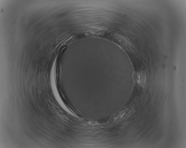 X0000085320915200703161502