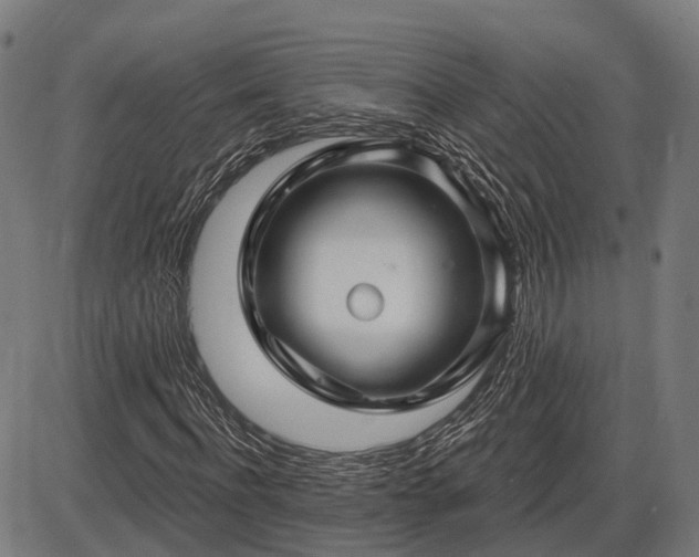 X0000085320916200703161502