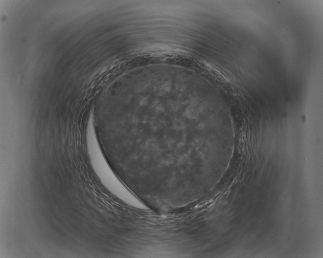 X0000085320917200703161502