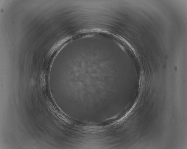 X0000085320921200703161502