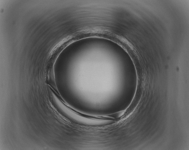 X0000085320922200703161502