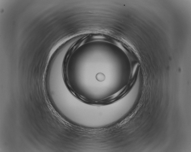 X0000085320928200703161502