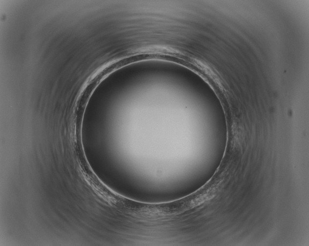 X0000085320931200703161502