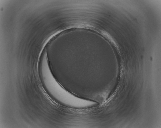X0000085320932200703161502