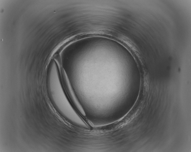 X0000085320933200703161502