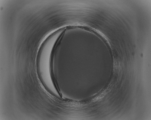 X0000085320935200703161502