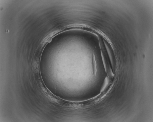 X0000085320937200703161502