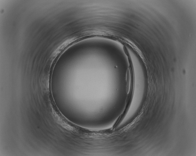 X0000085320938200703161502