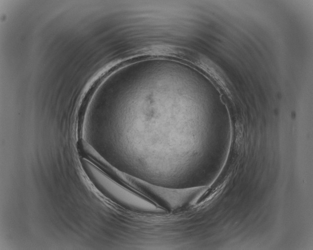 X0000085320939200703161502
