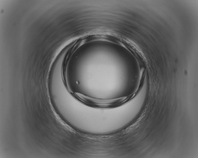 X0000085320942200703161502