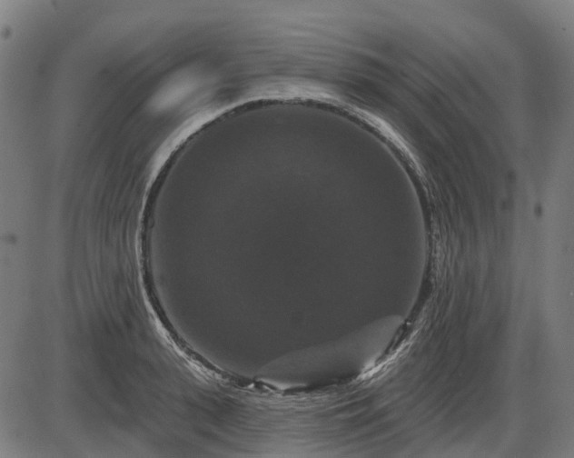 X0000085320943200703161502