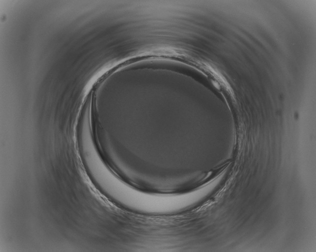 X0000085320944200703161502