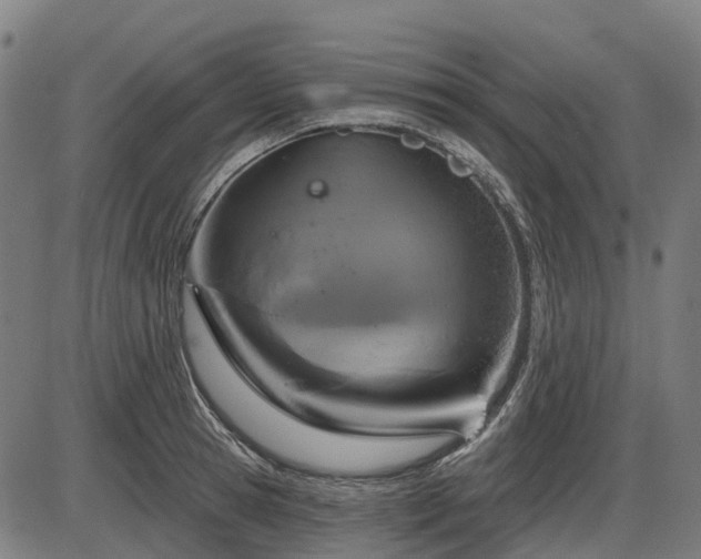X0000085320945200703161502